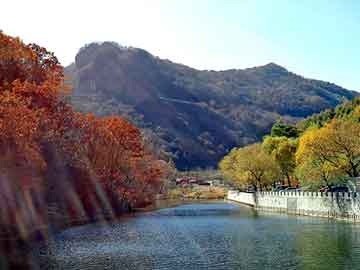 管家婆黑白马报图库，十日后